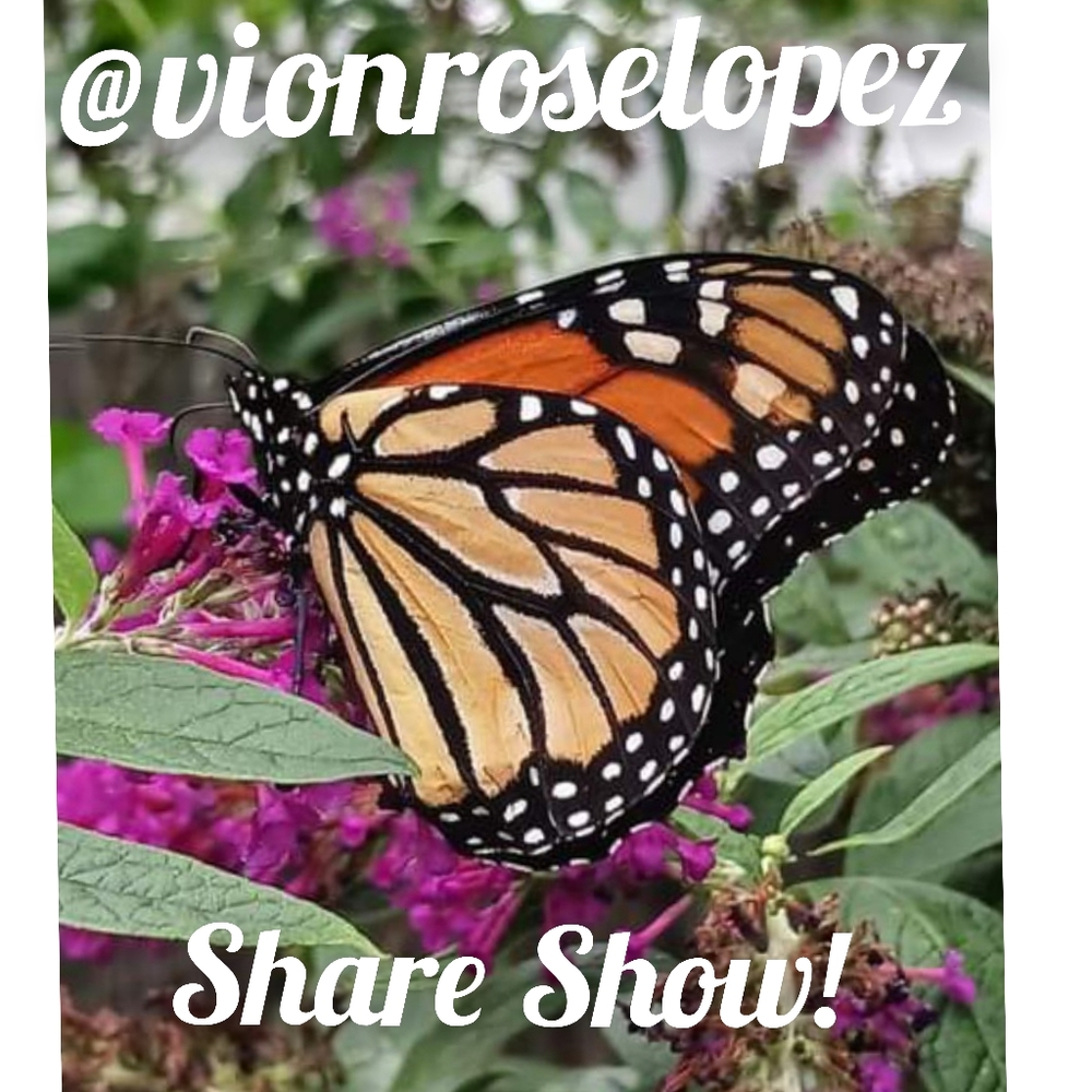 🚨Vionroselopez is Live!🚨 Share Show! Send 2 To The Blue! 🚨🥳🎉👜👟👕💰🚨